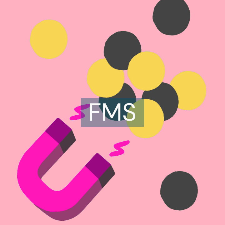 Fundraising Management System